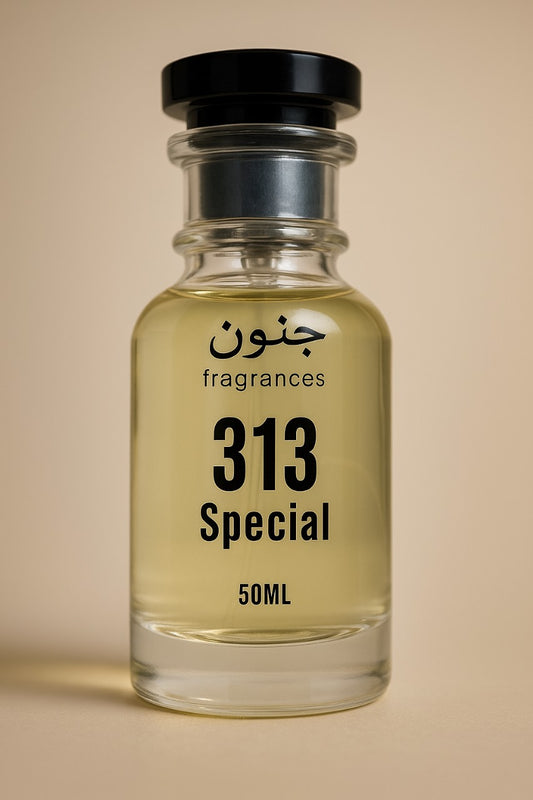 313 Special