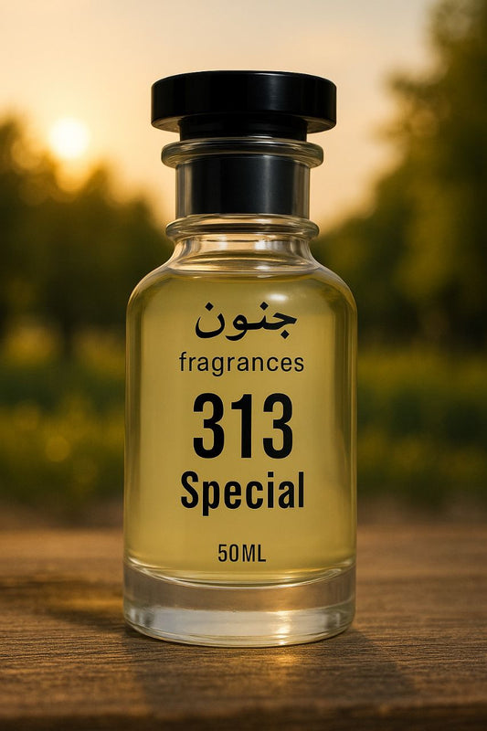 313 Special
