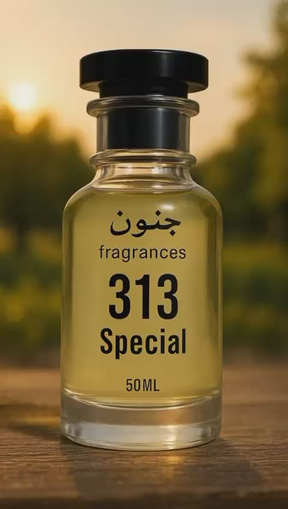 313 Special
